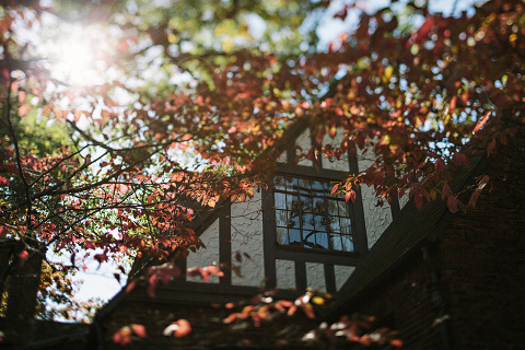 Jonas Seaman Americanvirus AnneEmoryG_1006