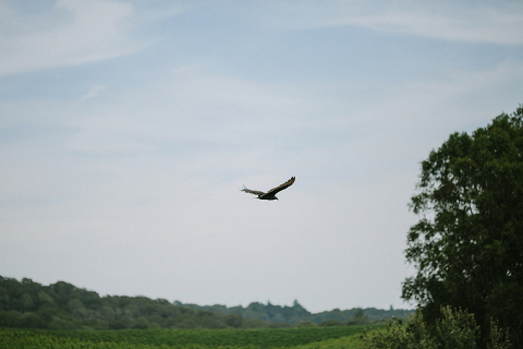 RuthAndJeff_Jonas_Seaman_1041