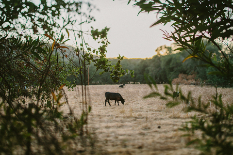 RuthAndJeff_Jonas_Seaman_1005