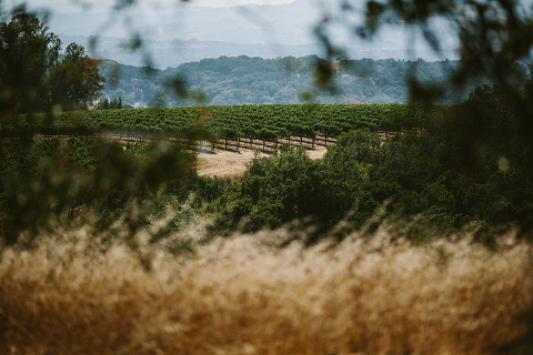 RuthAndJeff_Jonas_Seaman_1025