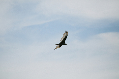 RuthAndJeff_Jonas_Seaman_1039