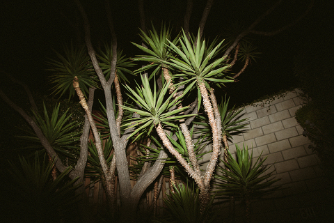 Jonas_Seaman_JeronSheihaPost_1074