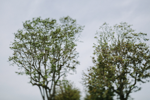 Jonas_Seaman_JeronSheihaPost_1007