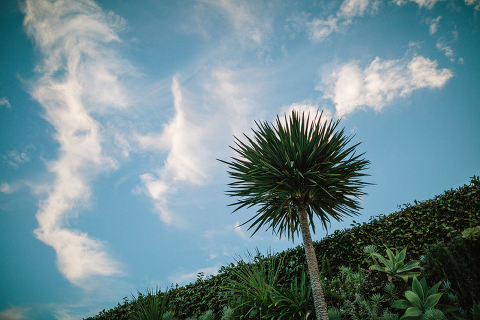 Jonas_Seaman_JeronSheihaPost_1048