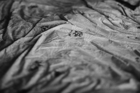 Jonas Seaman Americanvirus _AmandaJames_1006