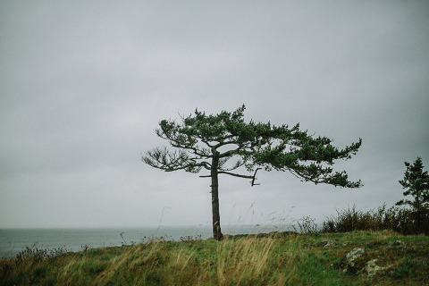 Jonas Seaman Americanvirus _AmandaJames_1007