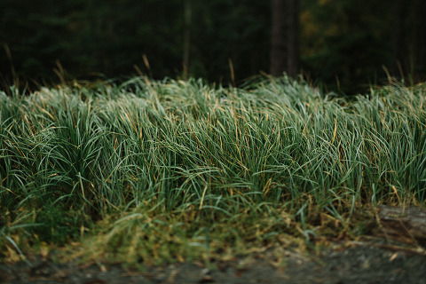 Jonas Seaman Americanvirus _AmandaJames_1098