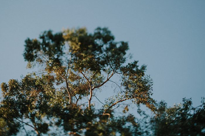 Jonas Seaman Americanvirus Misti_And_Asaf_1033