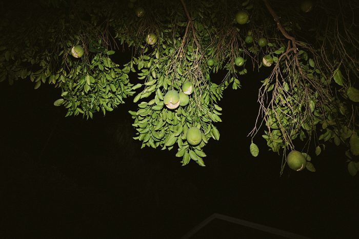 Jonas Seaman Americanvirus Misti_And_Asaf_1086