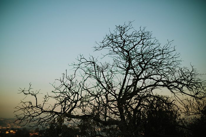 Jonas Seaman RuthJeff_1011