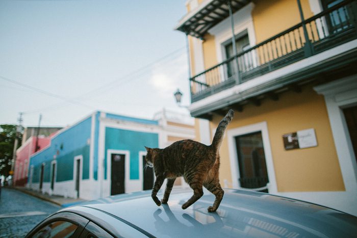 Jonas Seaman HeidiBenjamin_1009