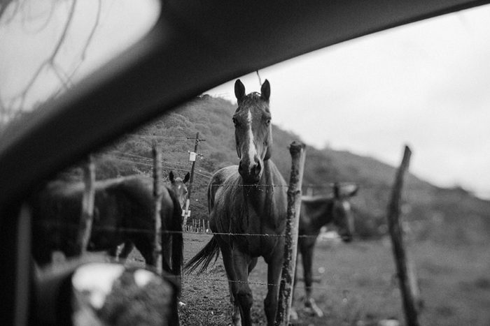 Jonas Seaman HeidiBenjamin_1021