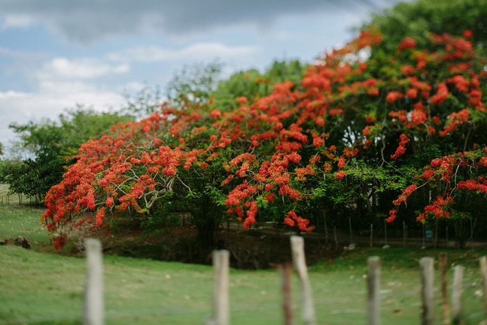 Jonas Seaman HeidiBenjamin_1030