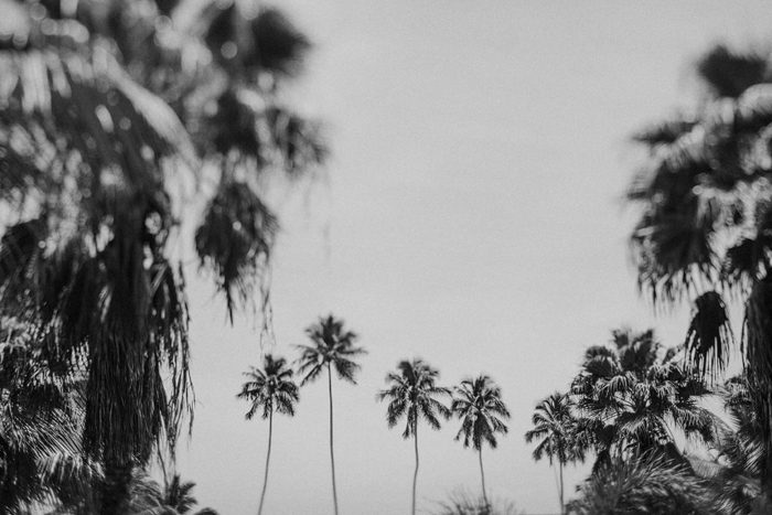 Jonas Seaman HeidiBenjamin_1082