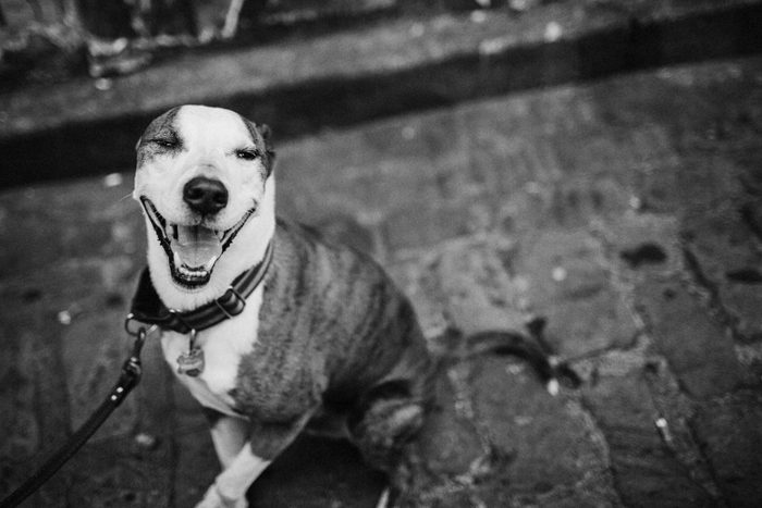 Jonas Seaman 2014Stories_1018