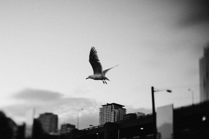 Jonas Seaman 2014Stories_1081