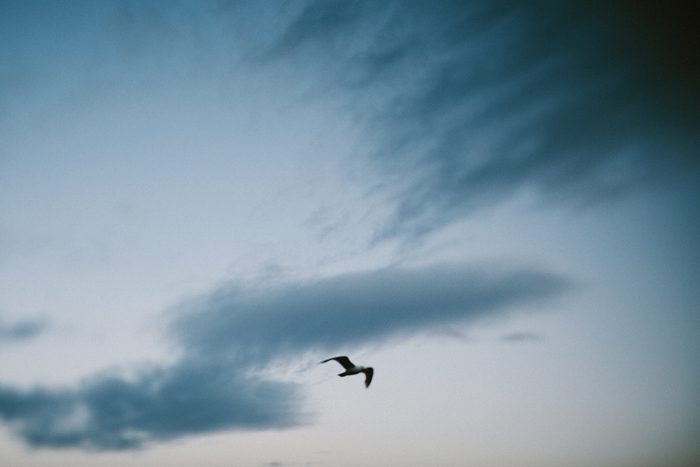 Jonas Seaman 2014Stories_1082