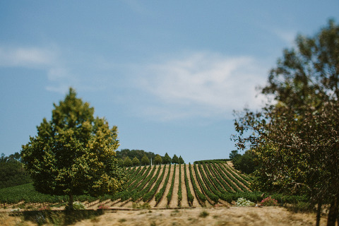 RuthAndJeff_Jonas_Seaman_1021