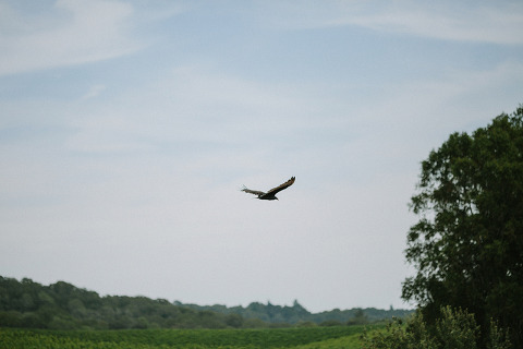 RuthAndJeff_Jonas_Seaman_1041