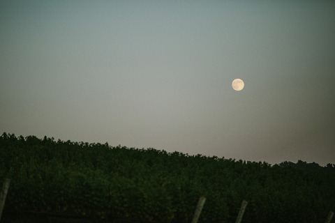 RuthAndJeff_Jonas_Seaman_1059