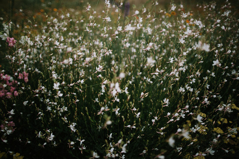 Jonas_Seaman_LaureenSeth_1023