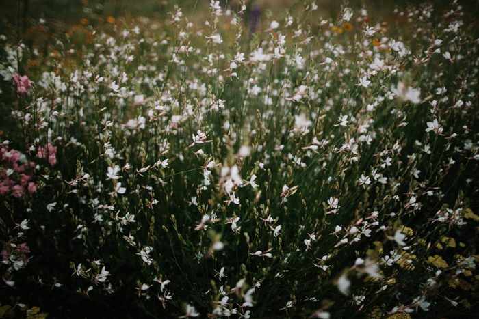 Jonas_Seaman_LaureenSeth_1023