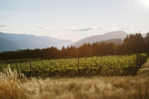 Jonas_Seaman_LaureenSeth_1041