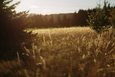 Jonas_Seaman_LaureenSeth_1075