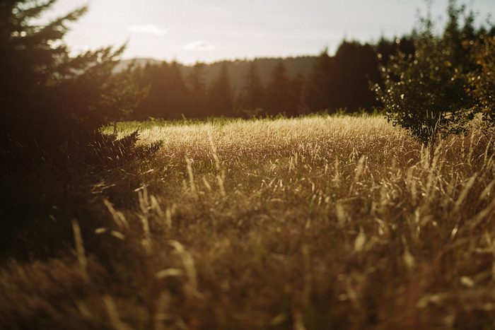 Jonas_Seaman_LaureenSeth_1075