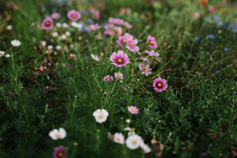 Jonas_Seaman_LaureenSeth_1079