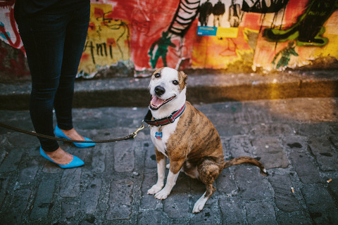 Jonas_Seaman_KateAndJustin_1019