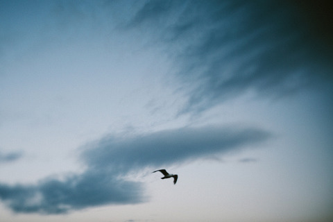 Jonas_Seaman_KateAndJustin_1025