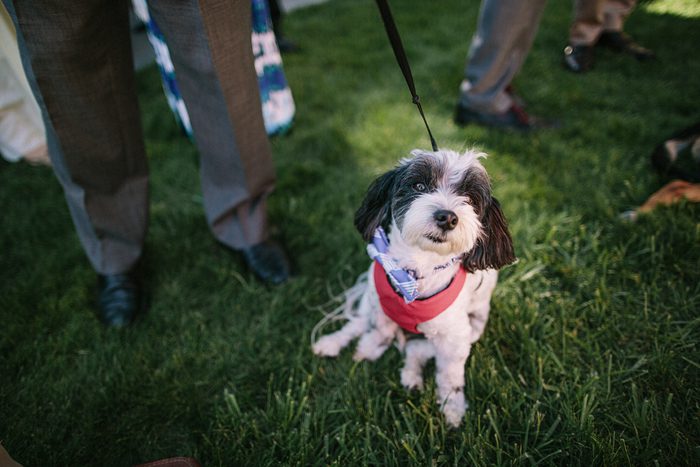 Jonas_Seaman_KylaBrentWed_1040