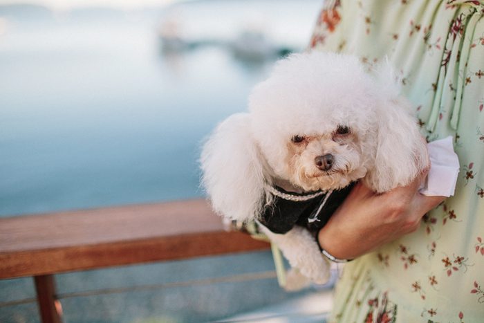 Jonas_Seaman_KylaBrentWed_1066