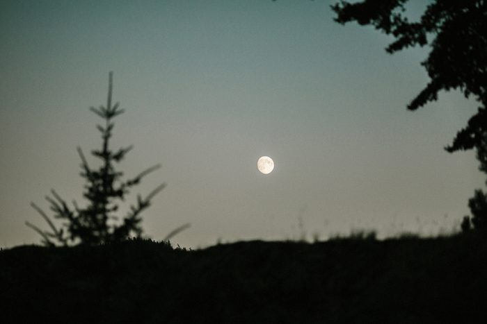 Jonas_Seaman_KylaBrentWed_1092