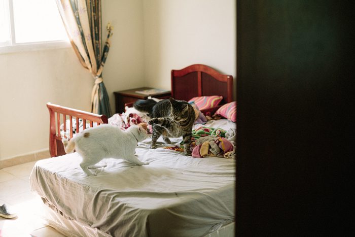 Jonas_Seaman_WilliamsFamilyDoha_1065