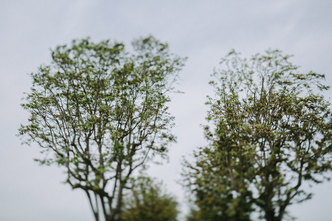 Jonas_Seaman_JeronSheihaPost_1007