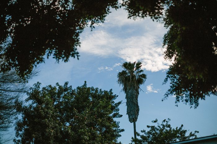 Jonas_Seaman_JeronSheihaPost_1038