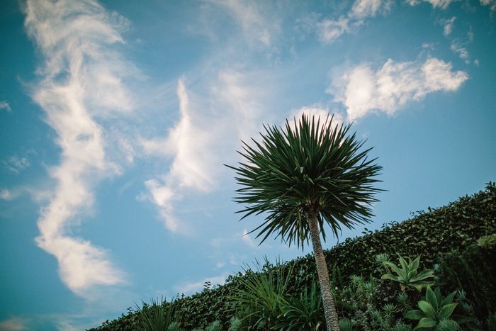 Jonas_Seaman_JeronSheihaPost_1048