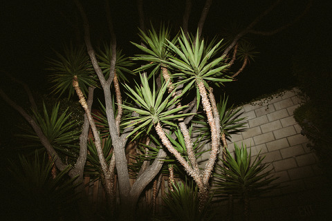 Jonas_Seaman_JeronSheihaPost_1074