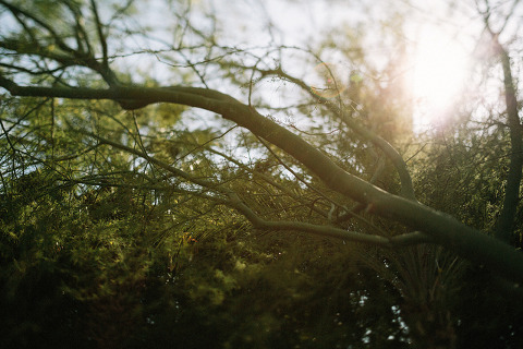 RiseAbove_AugustComp_Jonas_Seaman_1009