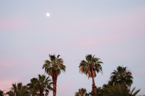 RiseAbove_AugustComp_Jonas_Seaman_1032