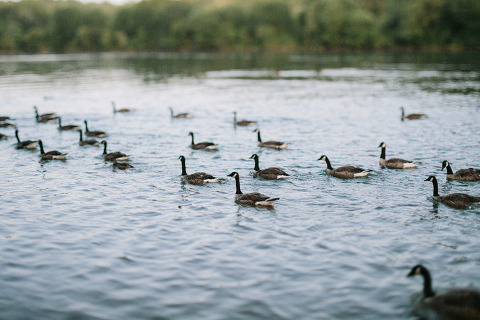 RiseAbove_AugustComp_Jonas_Seaman_1038