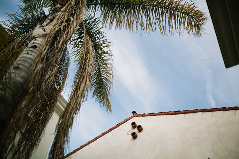 RiseAbove_AugustComp_Jonas_Seaman_1044