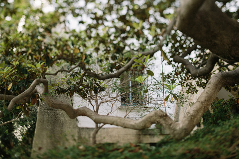 RiseAbove_AugustComp_Jonas_Seaman_1053