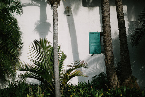 RiseAbove_AugustComp_Jonas_Seaman_1058