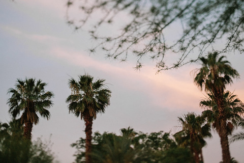 RiseAbove_AugustComp_Jonas_Seaman_1061