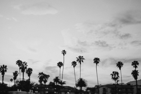 RiseAbove_AugustComp_Jonas_Seaman_1065