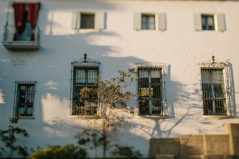 RiseAbove_AugustComp_Jonas_Seaman_1071