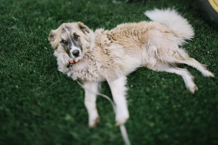 Jonas_Seaman_DanaBrianWedding_1024